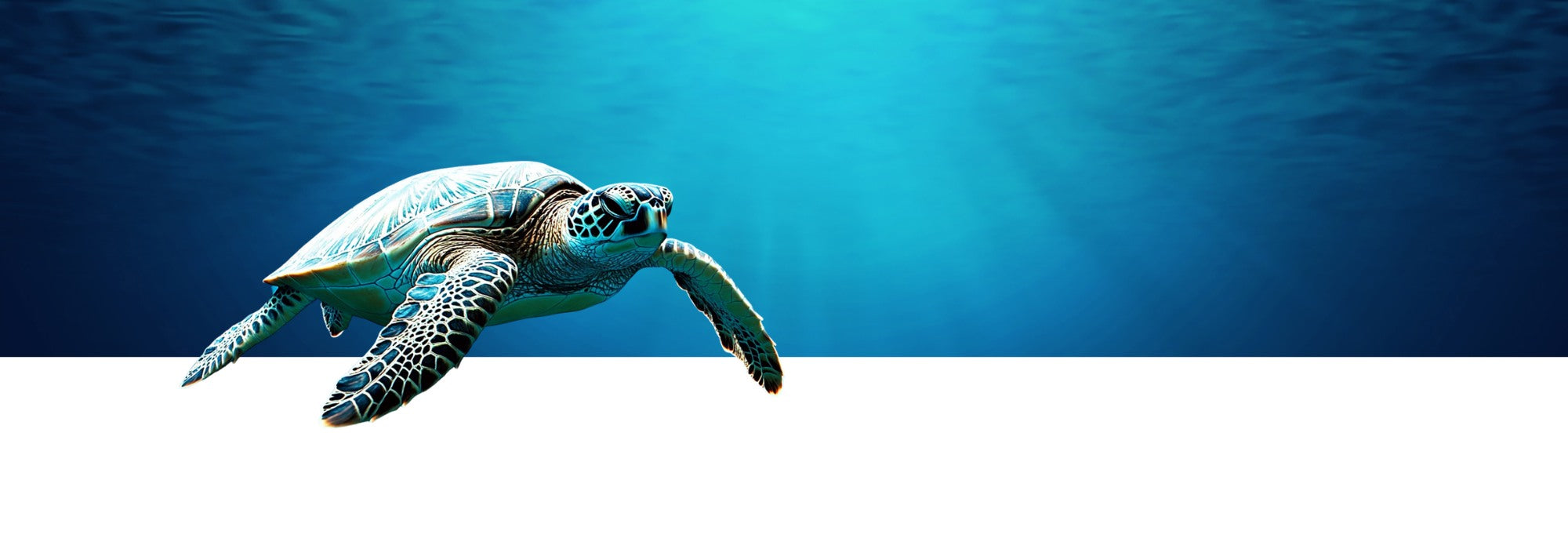 met de aankoop van een soobluu sneldrogende reishanddoek steun je de local ocean co